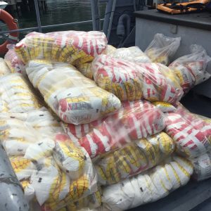 Gobierno nacional envió dos toneladas de insumos a Puerto Maya (1)
