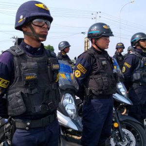 Más de 9 mil funcionarios activos en Carabobo durante Semana Santa Segura 2019 (10)