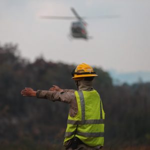 Bomberos y Bomberas Forestales (1)