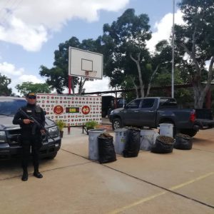 Incautados 182,77 kilogramos de marihuana ocultos en cuatro transformadores eléctricos en Anzoátegui (14)