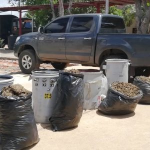 Incautados 182,77 kilogramos de marihuana ocultos en cuatro transformadores eléctricos en Anzoátegui (15)