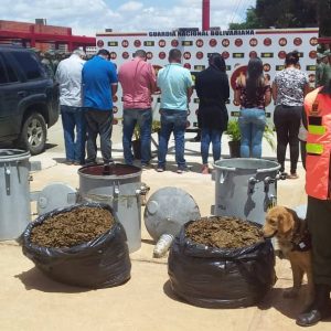 Incautados 182,77 kilogramos de marihuana ocultos en cuatro transformadores eléctricos en Anzoátegui (19)