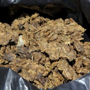 Incautados 182,77 kilogramos de marihuana ocultos en cuatro transformadores eléctricos en Anzoátegui (7)