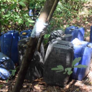 Desmantelados tres campamentos y 22 laboratorios con 11.211,262 kilogramos de cocaína (3)