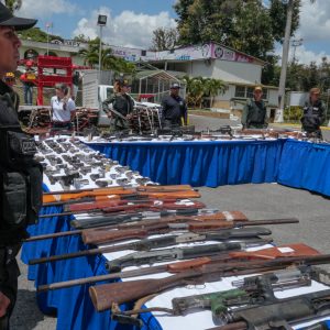 Mpprijp inutilizó 12 mil 921 armas de fuego en Caracas (6)