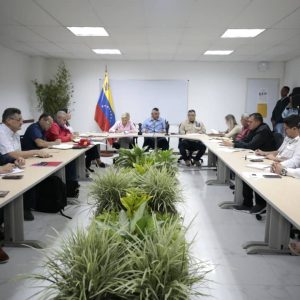 Gobierno nacional anuncia Plan Especial de Mitigación de Daños ocasionados por las lluvias en Caracas (2)