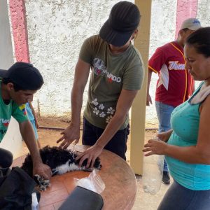 Crean espacios de sana convivencia y paz en Nueva Esparta (7)