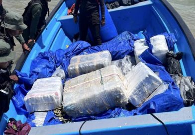 Decomisan casi tonelada de marihuana en Nueva Esparta Decomisan casi tonelada de marihuana en Nueva Esparta