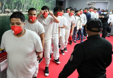 Venezuela recibe a más de 70 connacionales provenientes de EEUU
