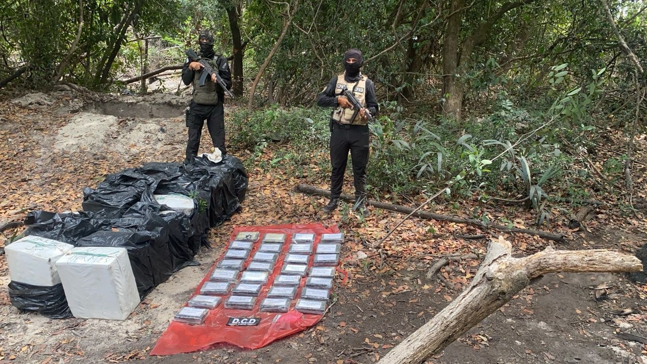 Imagen de DESMANTELAN COMPLEJO LOGÍSTICO DEL NARCOTRÁFICO EN APURE: INCAUTAN MÁS DE 600 KILOS DE COCAÍNA Y UNA AERONAVE