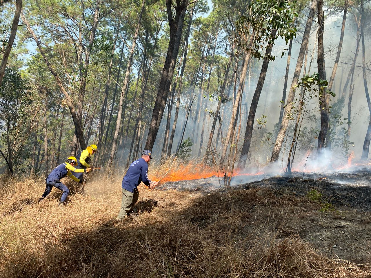 Imagen de SNGR DESPLEGADO EN TAZÓN PARA SOFOCAR INCENDIO DE VEGETACIÓN DE ALTA COMPLEJIDAD