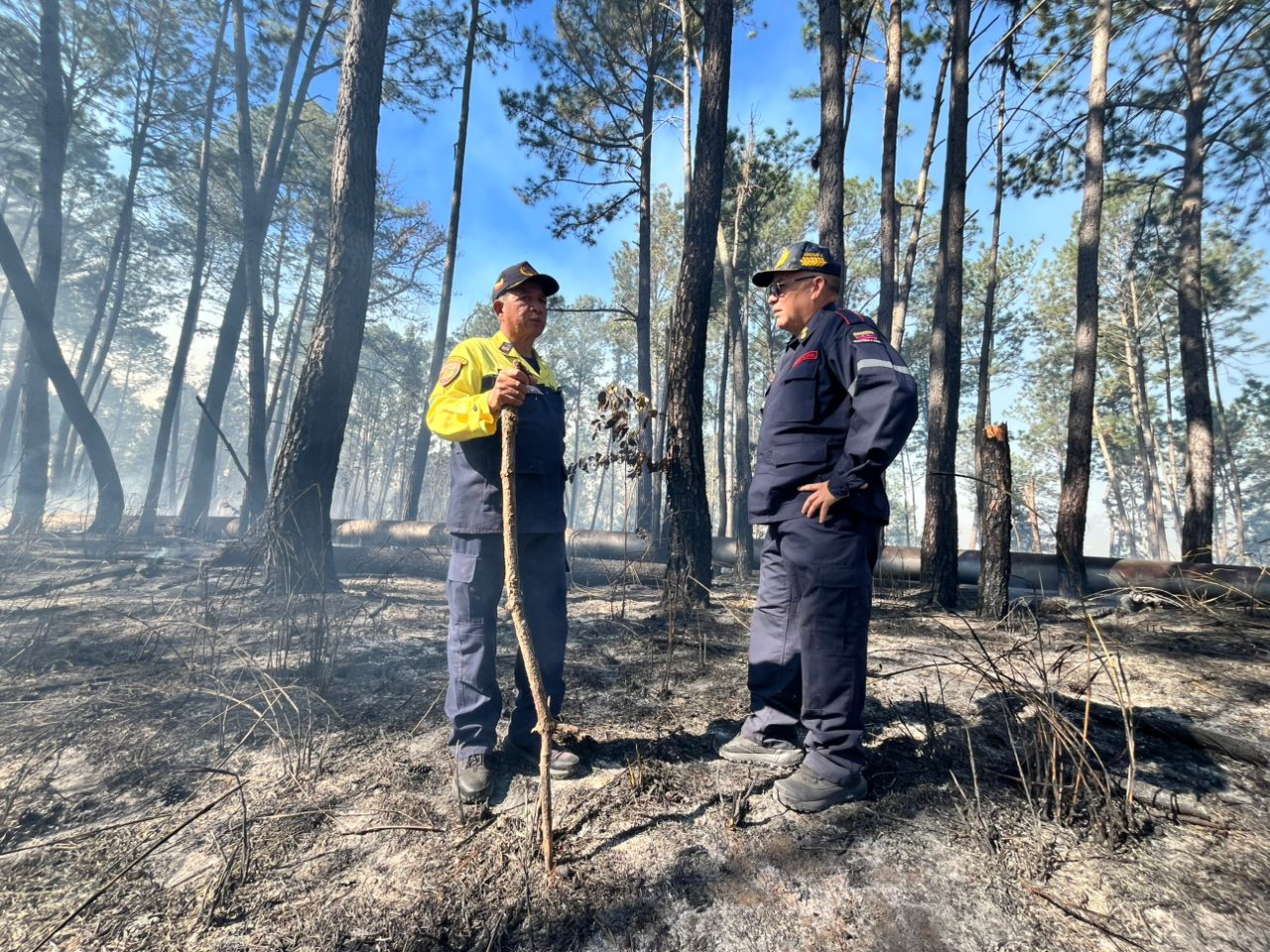 Imagen de BOMBEROS CONTROLAN INCENDIO EN EL KM 5 DE LA REGIONAL DEL CENTRO