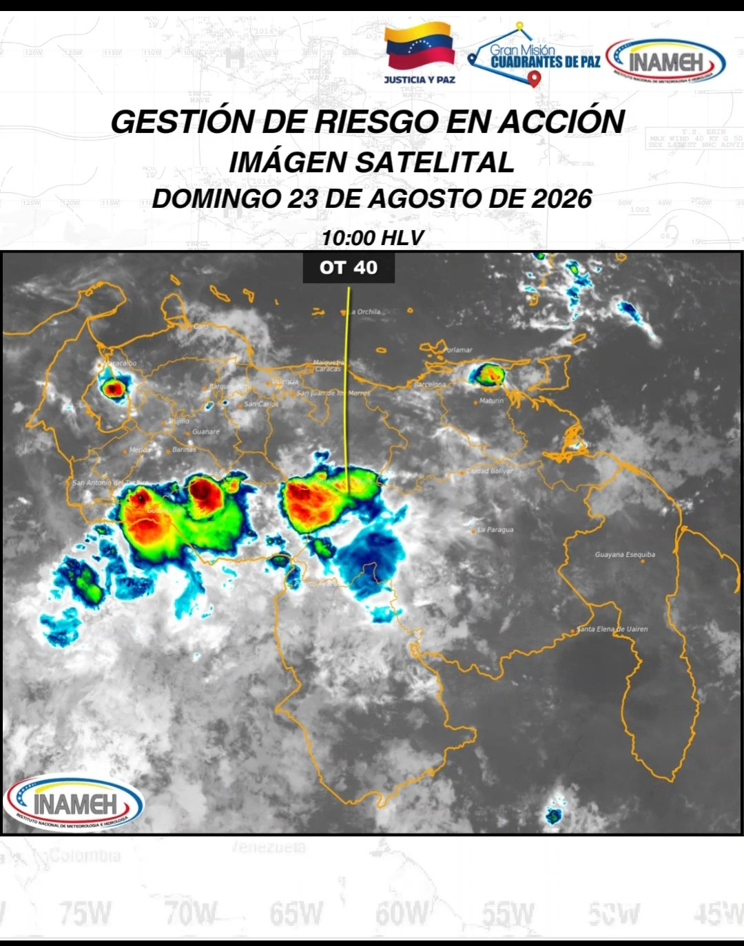 Texto de reporte