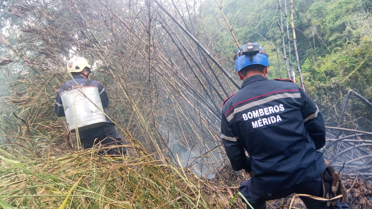 MÉRIDA// CUERPO DE BOMBEROS SOFOCA INCENDIO DE VEGETACIÓN EN MUNICIPIO ALBERTO ADRIANI