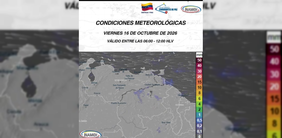 Texto de reporte