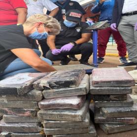 Imagen descriptiva 2