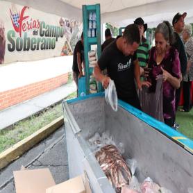 Imagen descriptiva 1