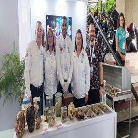 Imagen descriptiva 3