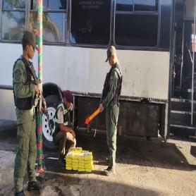 Imagen descriptiva 2